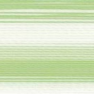 Fio Rayon nº40 MADEIRA 200m Ombré #2020