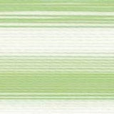 Fio Rayon nº40 MADEIRA 200m Ombré #2020