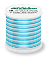 Fio Rayon nº40 MADEIRA 200m Ombré #2025
