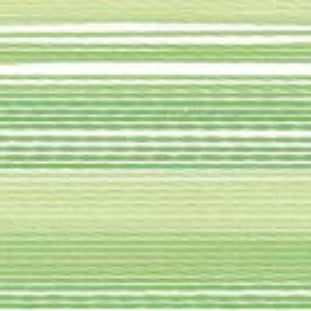 Fio Rayon nº40 MADEIRA 200m Ombré #2031