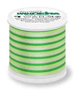 Fio Rayon nº40 MADEIRA 200m Ombré #2031