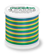 Fio Rayon nº40 MADEIRA 200m Matizado #2146