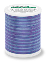 Cotton Thread No. 50 WOOD 1000m Variegated #508