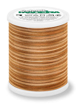 MADEIRA Cotton Thread No. 50 1000m Variegated #510