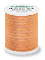 Cotton thread No. 50 Madeira 1000m Variegated #512