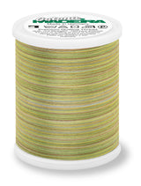 Cotton Thread No. 50 MADEIRA 1000m Variegated #516