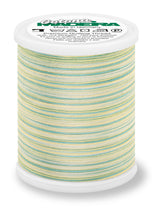 Cotton Thread No. 50 MADEIRA 1000m Variegated #519