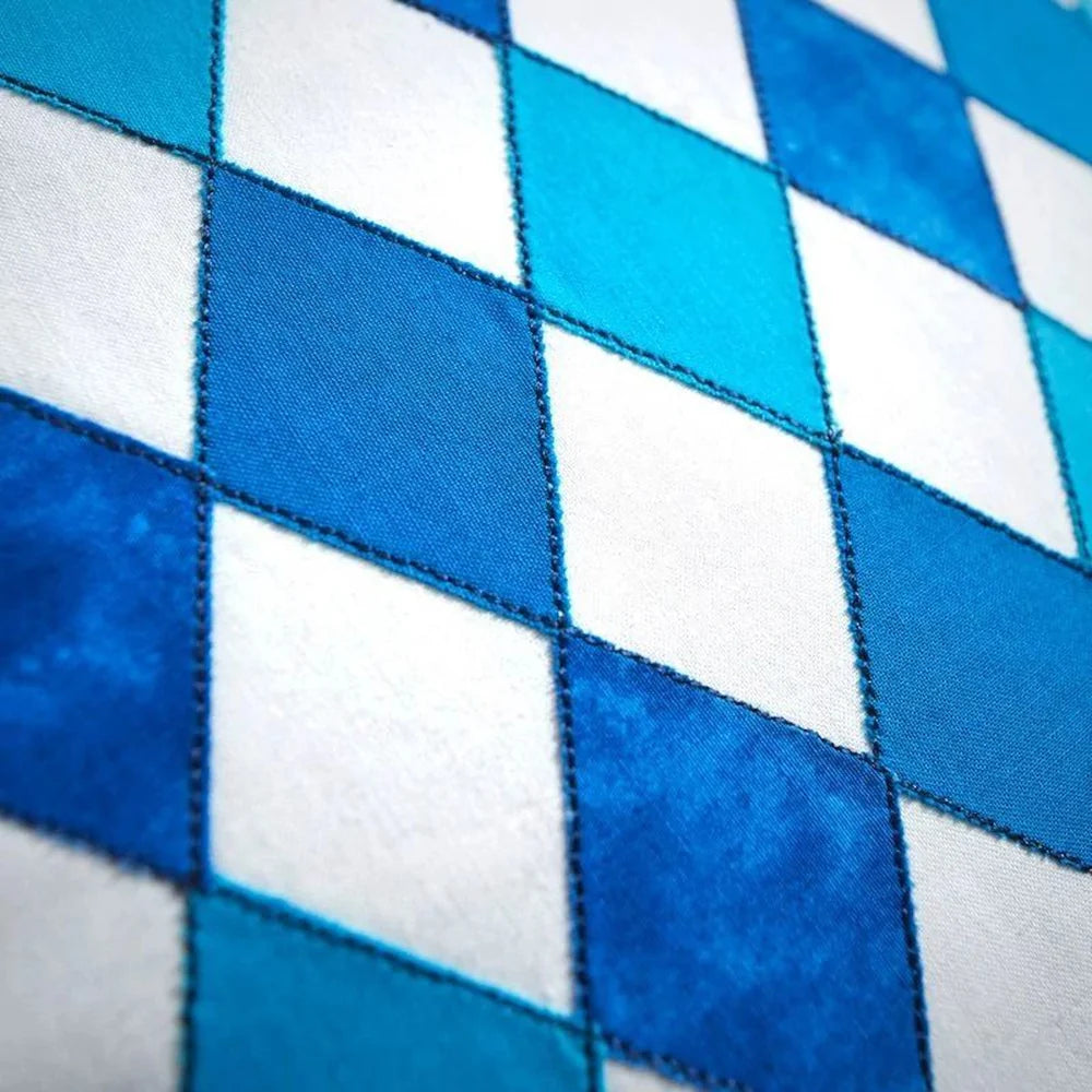 Bastidor Magnético PFAFF® creative™ Grand Metal Hoop (240x150 mm)