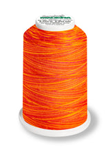Cone Aerolock nº125 MADEIRA 1200m Peixe Coral #9506