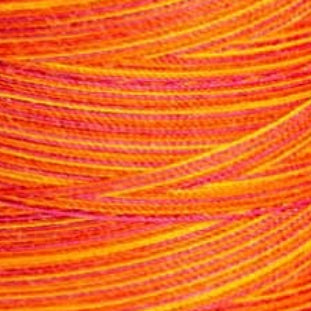 Cone Aerolock nº125 MADEIRA 1200m Peixe Coral #9506