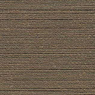 Cone Aerolock nº125 MADEIRA 2500m #9280