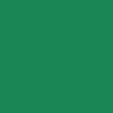 Fio Rayon nº40 MADEIRA 1000m X-mas Green #1051