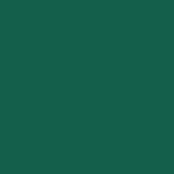 Fio Rayon nº40 MADEIRA 1000m Forest Green #1304